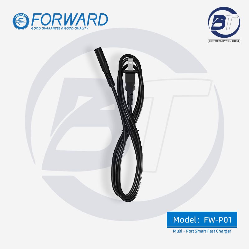 FW P01 8 PORT CHARGER